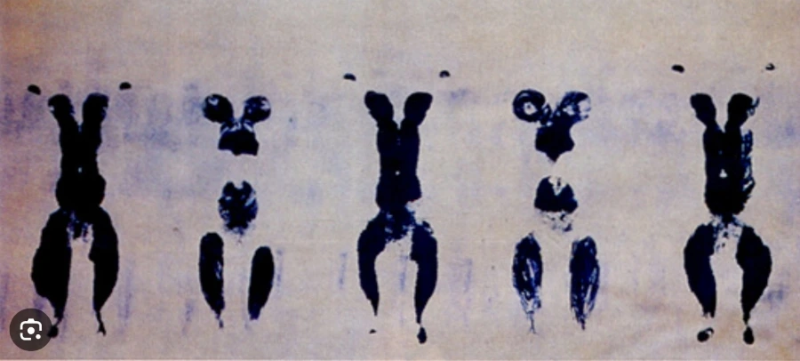 900%EF%BC%BFScreenshot%EF%BC%BF20250819%EF%BC%BF030231%EF%BC%BFGoogle.jpg?type=w966