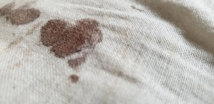 다운로드 (2).jfif