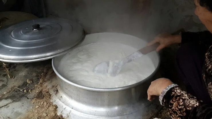 다운로드 (5).jpeg