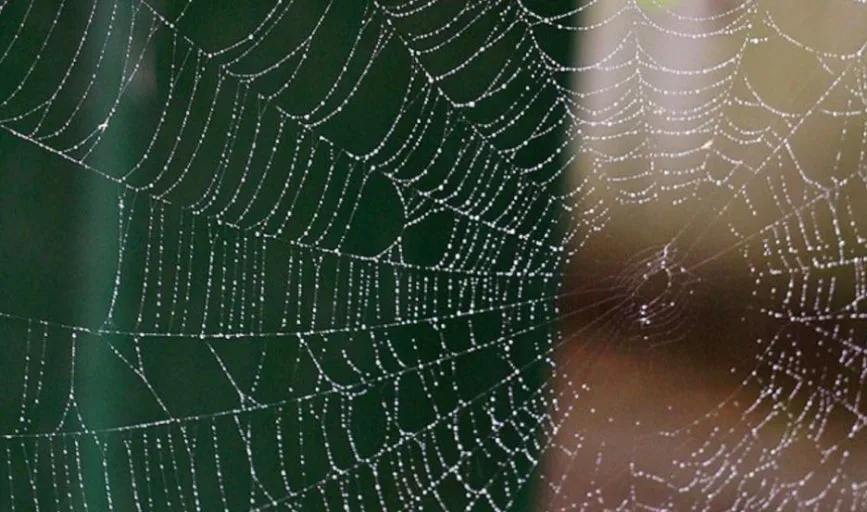 다운로드 (1).jpeg