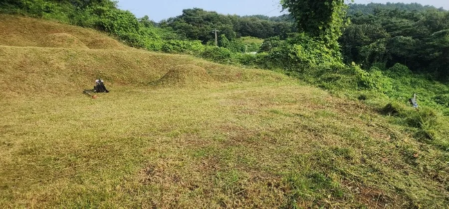 다운로드 (1).jpeg