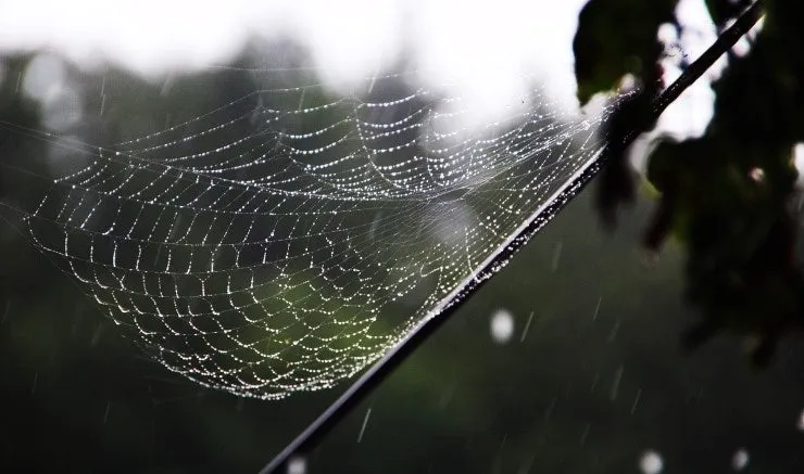 다운로드 (2).jpeg