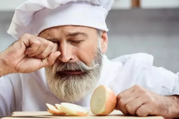 다운로드 (1).jpeg