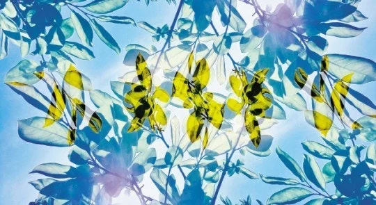 다운로드 (1).jpeg