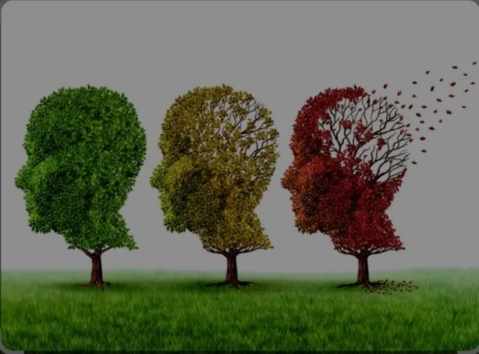 다운로드 (1).jpeg