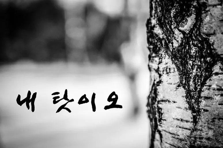 다운로드 (3).jpeg