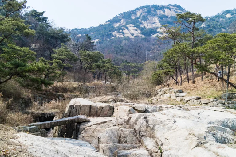 다운로드 (3).jfif