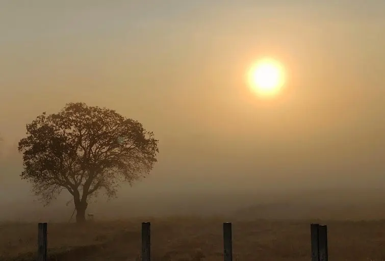 다운로드 (2).jfif