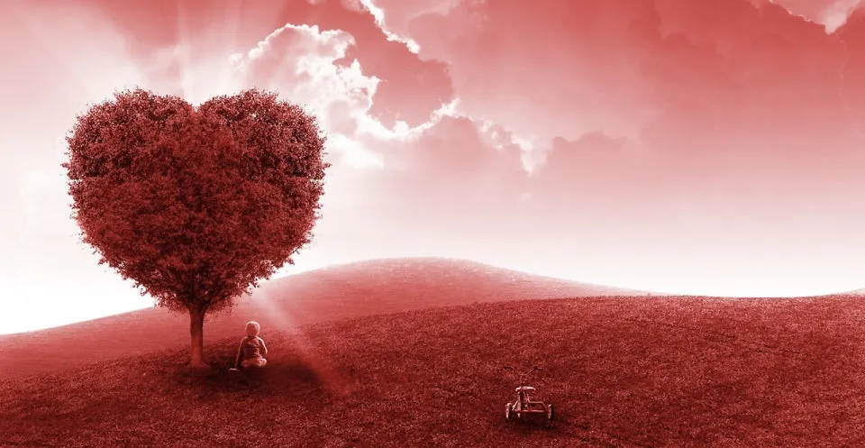 다운로드 (4).jfif