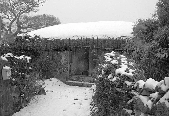 다운로드 (1).jfif