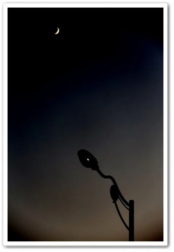 다운로드 (3).jpeg