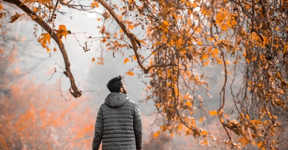 다운로드 (2).jpeg