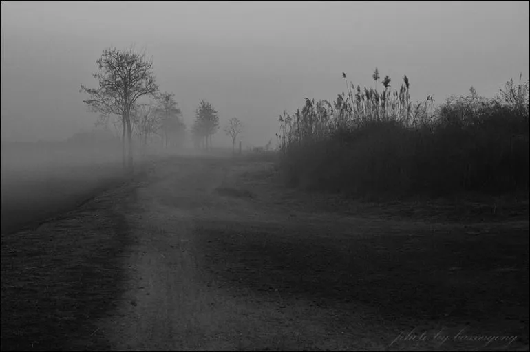 다운로드 (2).jfif