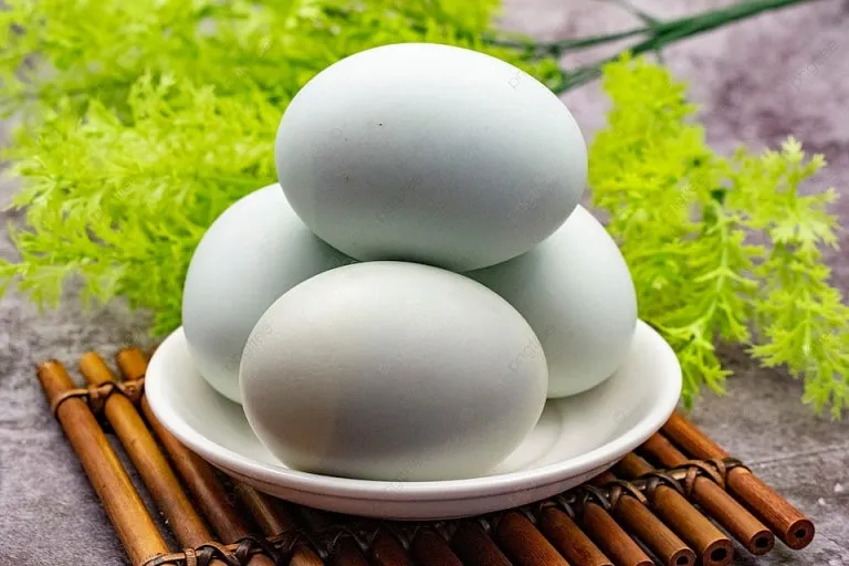 다운로드 (3).jpeg