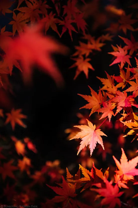 다운로드 (1).jpeg