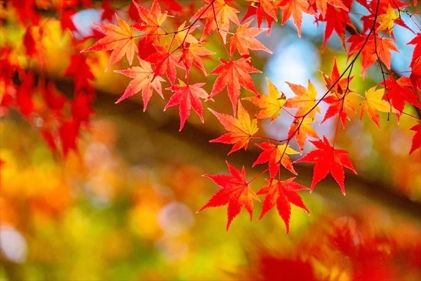 다운로드 (1).jpeg