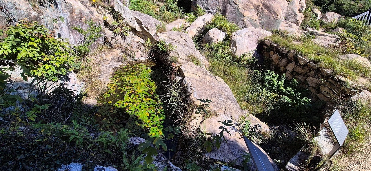 IE003552182_STD.jpg?20251124134402075