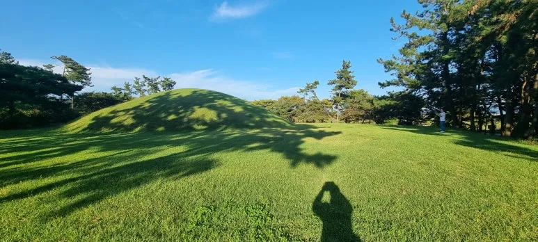 %EC%8C%8D%EB%A6%89%EC%A4%91%EB%AC%B4%EC%99%95%EB%A6%89.jpg?type=w773