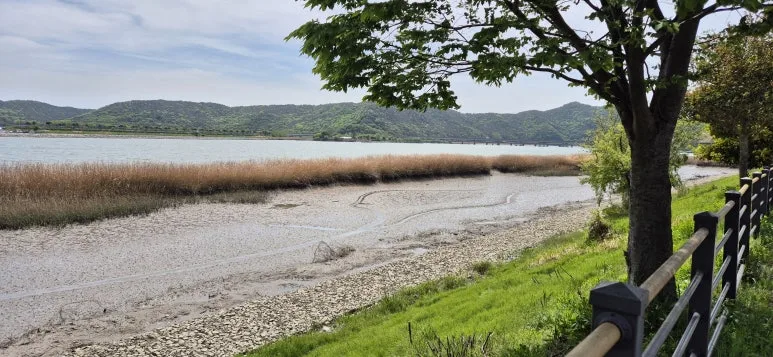 KakaoTalk_20250430_135558620.jpg?type=w773