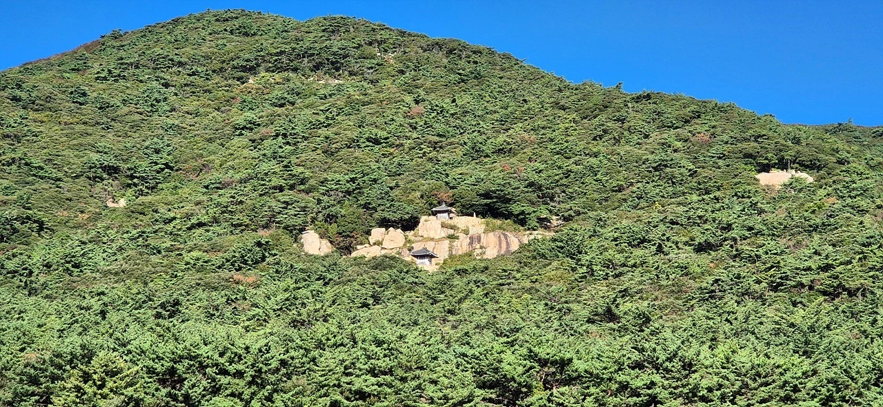 IE003552180_STD.jpg?20251124134402075