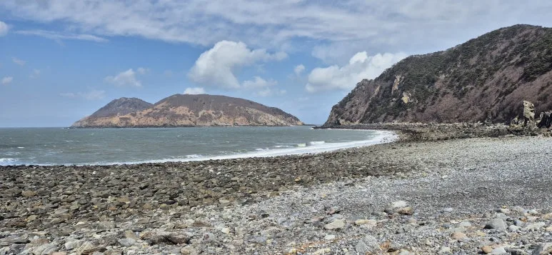 KakaoTalk_20250422_093856130.jpg?type=w773