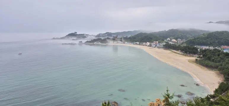 KakaoTalk_20250620_150659612.jpg?type=w773