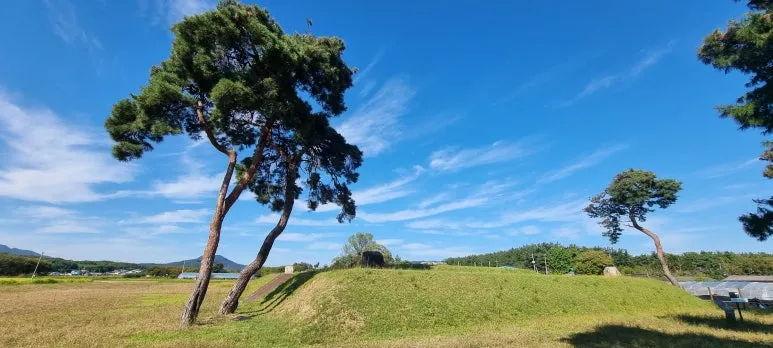 %EC%A0%9C%EC%84%9D%EC%82%AC%EC%A7%80.jpg?type=w773