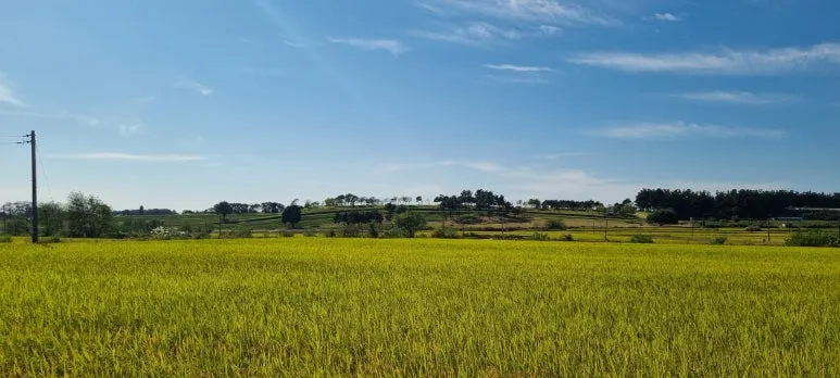 %EC%A0%9C%EC%84%9D%EC%82%AC%EC%A7%80%EC%97%90%EC%84%9C%EB%B0%94%EB%9D%BC%EB%B3%B8%EC%99%95%EA%B6%81%EA%B3%BC%ED%9B%84%EC%9B%90.jpg?type=w773