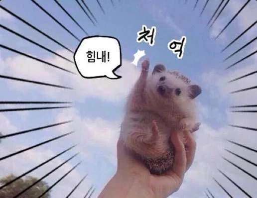 IMG_9671.JPG?type=w800