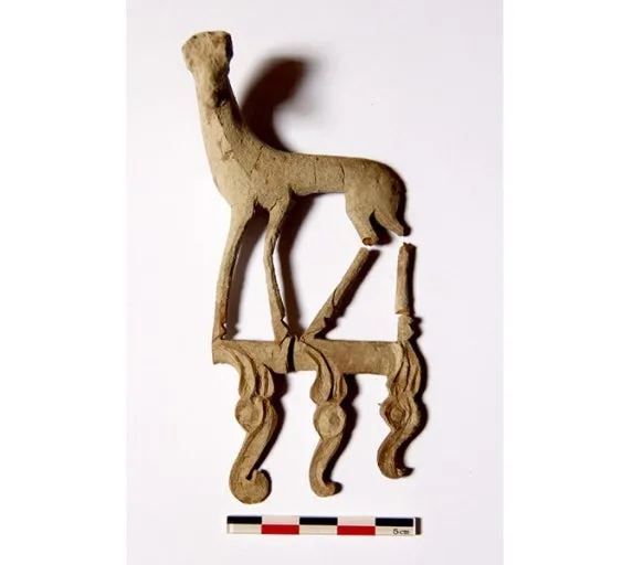 다운로드 (8).jpeg