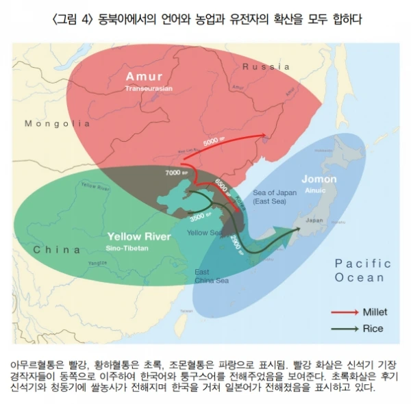 %EC%9B%90%EC%8B%9C_%ED%95%9C%EA%B5%AD%EC%96%B4-06.jpg?type=w2