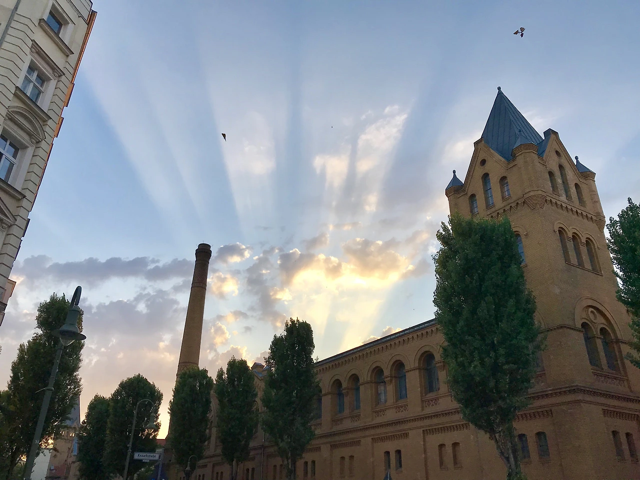 2018-08-17_19-44-48_475 (1).heic