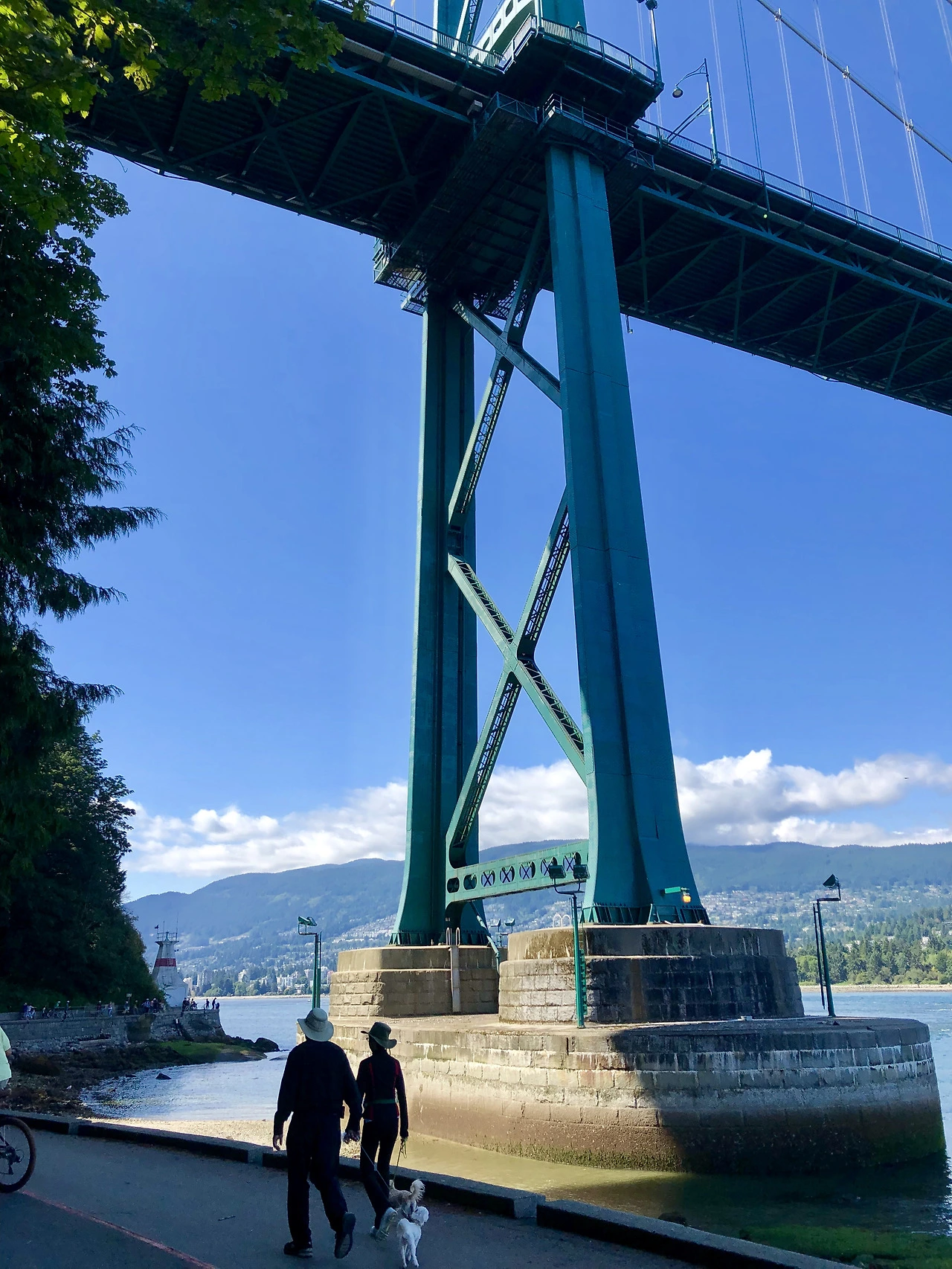 2019-07-09_00-54-43_585 (1).heic