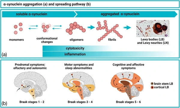 482122238_17905083378101533_8740036849910792607_n.jpg?stp=dst-jpg_e35_tt6&efg=eyJ2ZW5jb2RlX3RhZyI6ImltYWdlX3VybGdlbi42MDB4MzU5LnNkci5mNzU3NjEuZGVmYXVsdF9pbWFnZSJ9&_nc_ht=scontent-hou1-1.cdninstagram.com&_nc_cat=101&_nc_oc=Q6cZ2AFDTTYGTmUeJOM8L6NcGcGd_subn6PZvowucy_QqOWXPABnN6g5ei4ePKu7K-AmiZ4&_nc_ohc=XMvt1Z2uR-wQ7kNvgG_MCGY&_nc_gid=228719efd18f49c4a1df7950e7d390d5&edm=ALvRx_oBAAAA&ccb=7-5&ig_cache_key=MzU3ODY3MTczOTIzNDA1MDQ4NQ%3D%3D.3-ccb7-5&oh=00_AYD5RypUDGrgY90g3HANtQ_Ynb4d3jbwJpb99KIJEew-iA&oe=67C8D4B6&_nc_sid=ecb15b