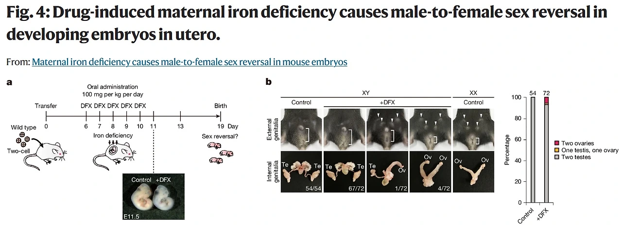 505391917_17921639526101533_5460688280726510806_n.jpg?stp=dst-jpg_e35_tt6&efg=eyJ2ZW5jb2RlX3RhZyI6InRocmVhZHMuRkVFRC5pbWFnZV91cmxnZW4uMTU1MXg1NjMuc2RyLmY4Mjc4Ny5kZWZhdWx0X2ltYWdlLmMyIn0&_nc_ht=scontent-hou1-1.cdninstagram.com&_nc_cat=101&_nc_oc=Q6cZ2QEaa8Op924oUzmK3JVVyeU64wQ5b9cjxEdBABuJLnkFmVVsHfIaMnt_C2ZUodxLUCo&_nc_ohc=1uoZ6xDPEbUQ7kNvwGvHHyk&_nc_gid=MosYCmNKxWFbW_vkTHsnOg&edm=ALvRx_oBAAAA&ccb=7-5&ig_cache_key=MzY3NzY4NzYwNjE5NjUwMTAxOA%3D%3D.3-ccb7-5&oh=00_AfSKt054aALwWwjUC4UY-WJOGZjc-Hjb6iGkW3Oh35pRDA&oe=688701E4&_nc_sid=ecb15b