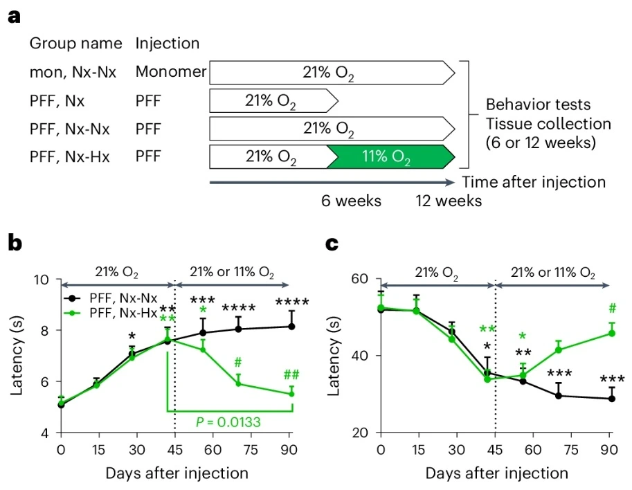 537597776_17926200744101533_7457250797685551764_n.jpg?stp=dst-jpg_e35_tt6&efg=eyJ2ZW5jb2RlX3RhZyI6InRocmVhZHMuRkVFRC5pbWFnZV91cmxnZW4uOTEzeDcwOC5zZHIuZjgyNzg3LmRlZmF1bHRfaW1hZ2UuYzIifQ&_nc_ht=scontent-hou1-1.cdninstagram.com&_nc_cat=101&_nc_oc=Q6cZ2QHk_hZoxjtZcHdrZakMlKv-uaXEKvXeTAJtLDOwn-wQAGyr_2k4VaiOCmrsYHSspfs&_nc_ohc=__buQczm_NkQ7kNvwEK2HPM&_nc_gid=1S4JBkqb6KvM9_F_q-keqA&edm=ALvRx_oBAAAA&ccb=7-5&ig_cache_key=MzcwNDg0MjA2ODIyMDY2MzQ2OQ%3D%3D.3-ccb7-5&oh=00_AfWR0wzCUV8hniXOIEsosTpU_Ws775ZsavcOJ25wKNSuog&oe=68B4073D&_nc_sid=ecb15b
