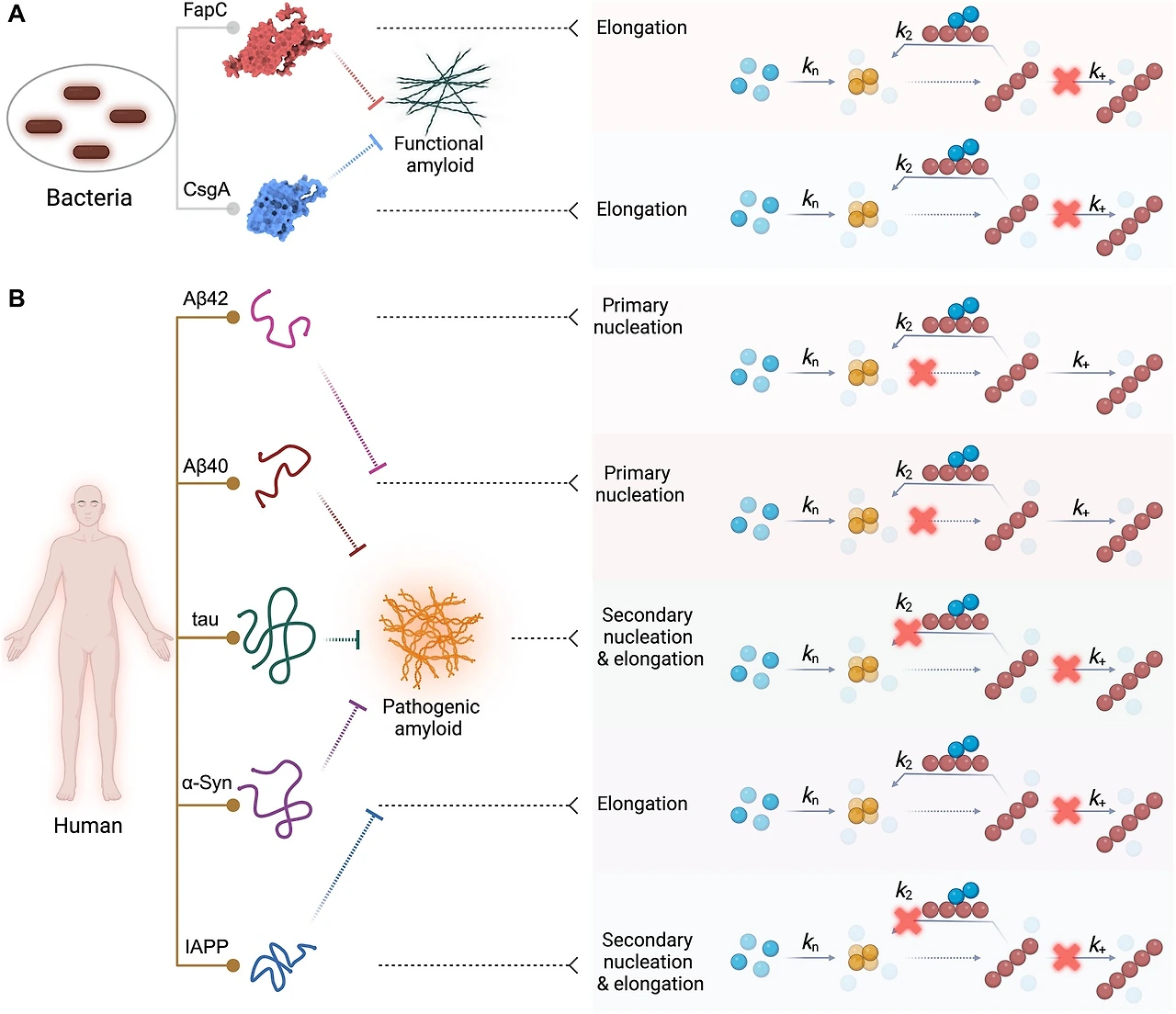 505421022_17919457089101533_4527501239300217419_n.jpg?stp=dst-jpg_e35_tt6&efg=eyJ2ZW5jb2RlX3RhZyI6InRocmVhZHMuRkVFRC5pbWFnZV91cmxnZW4uMTY2OXgxNDQwLnNkci5mNzU3NjEuZGVmYXVsdF9pbWFnZSJ9&_nc_ht=scontent-hou1-1.cdninstagram.com&_nc_cat=101&_nc_oc=Q6cZ2QFNmzPMuGYcfitBB8okk_-SnmN9OJ2Ujj_P9F5vWesAGNQ-xqAEVZsSlbkNW282mTs&_nc_ohc=HyJhsaKDdMUQ7kNvwHrqapC&_nc_gid=2pVQQBExIBzEWp8VEB_Wdg&edm=AAGeoI8BAAAA&ccb=7-5&ig_cache_key=MzY2NDUwMTk3MTUyODkyMDkxNQ%3D%3D.3-ccb7-5&oh=00_AfRSsLPSlmxTEtqeUbT8QWGxpFiSF-4ajwXG6dDThKLlZQ&oe=68738ECF&_nc_sid=b0e1a0