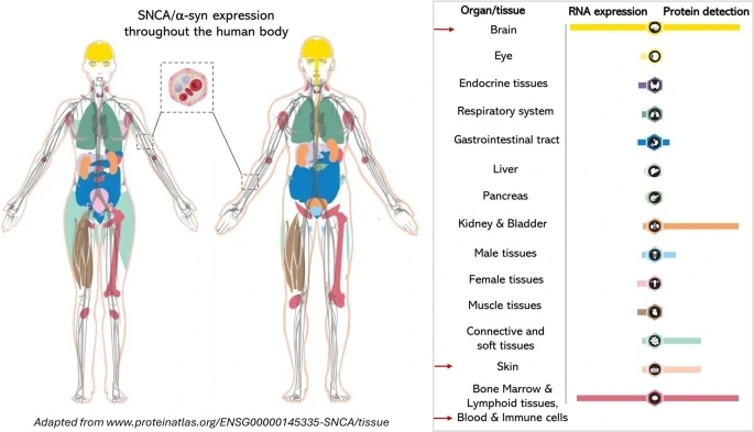 612464525_17942273490101533_8249421410771215652_n.jpg?stp=dst-jpg_e35_tt6&efg=eyJ2ZW5jb2RlX3RhZyI6InRocmVhZHMuRkVFRC5pbWFnZV91cmxnZW4uNjg1eDM5My5zZHIuZjgyNzg3LmRlZmF1bHRfaW1hZ2UuYzIifQ&_nc_ht=scontent-hou1-1.cdninstagram.com&_nc_cat=101&_nc_oc=Q6cZ2QEd2BZoMnOt4jWVAJKTR7UasdAmkIFPRnWKAEFEYbTkB9e2LU_8NsGOQV-ppQLKi8Y&_nc_ohc=sj_GqxnNtJ0Q7kNvwE9AjhL&_nc_gid=XtBPQz6cKXYTajIkz5BfEA&edm=AKr904kBAAAA&ccb=7-5&ig_cache_key=MzgwNDM5MDM0ODkwNzcwODc3NA%3D%3D.3-ccb7-5&oh=00_Afpkgtmv3O6R9WasKqI3R56JJ9bZrBToCKJN4i00Kmok0Q&oe=6963636E&_nc_sid=23467f