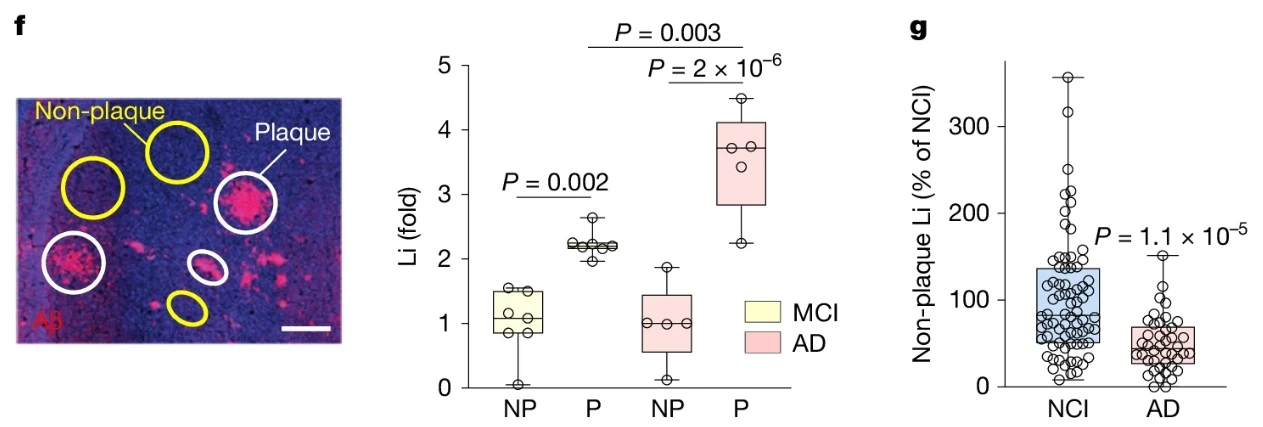 533259155_17925148539101533_4295257554804128016_n.jpg?stp=dst-jpg_e35_tt6&efg=eyJ2ZW5jb2RlX3RhZyI6InRocmVhZHMuRkVFRC5pbWFnZV91cmxnZW4uMTI2M3g0Mjcuc2RyLmY4Mjc4Ny5kZWZhdWx0X2ltYWdlLmV4cGVyaW1lbnRhbCJ9&_nc_ht=scontent-hou1-1.cdninstagram.com&_nc_cat=101&_nc_oc=Q6cZ2QFez2ffo3xjqcF_extnsh_0xDNNGqIKuP4z8OKbBrh4T_5Z_iBCDPcnjCpwFq3cu6E&_nc_ohc=QfgHMUK8NcYQ7kNvwEN8NrF&_nc_gid=weNqdDYDcFHajr3t_dEmmA&edm=ALvRx_oBAAAA&ccb=7-5&ig_cache_key=MzY5ODQyMDA2MTI5MjM3ODU2NQ%3D%3D.3-ccb7-5&oh=00_AfUKYR_z--V3pPfTK7QqTz6WSBrsPR5SGj4R7NIxJK-B_w&oe=68A288E0&_nc_sid=ecb15b