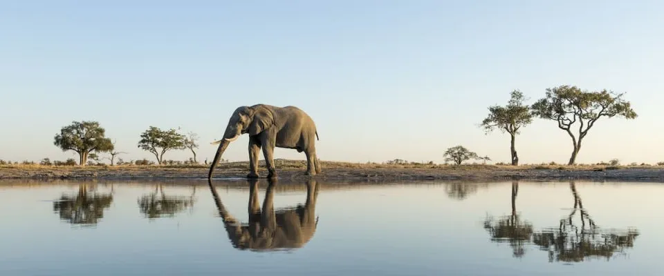 ?src=https%3A%2F%2Fimages.trvl-media.com%2Fplace%2F6361525%2F81524cac-4080-4ab1-973c-38375cf305e1.jpg%3Fimpolicy%3Dfcrop%26w%3D1200%26h%3D500%26q%3Dmedium&type=sc960_832