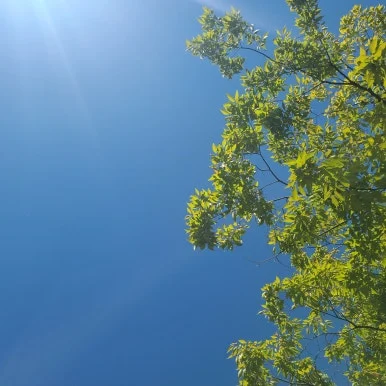 KakaoTalk_20240929_203347540.jpg?type=w386