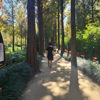 KakaoTalk_20240929_203347540_02.jpg?type=w386