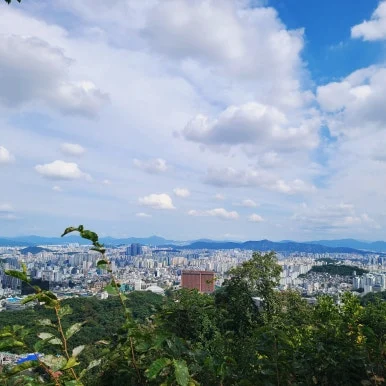 SE-d091823c-b751-4b2e-b384-3fb23aa4f281.jpg?type=w386