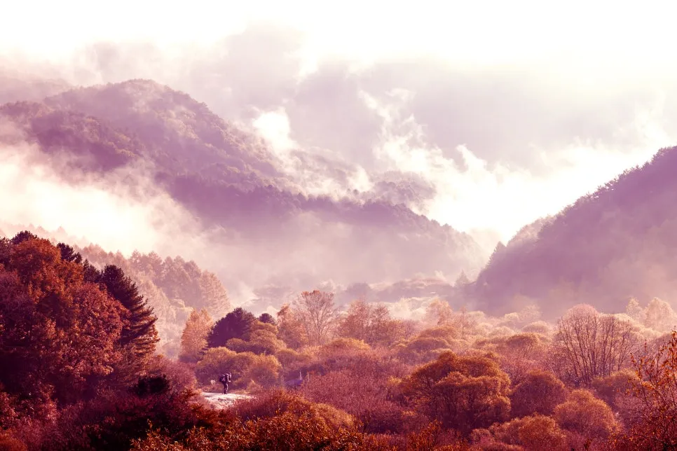 0U4A3540_copy.jpg?type=w966