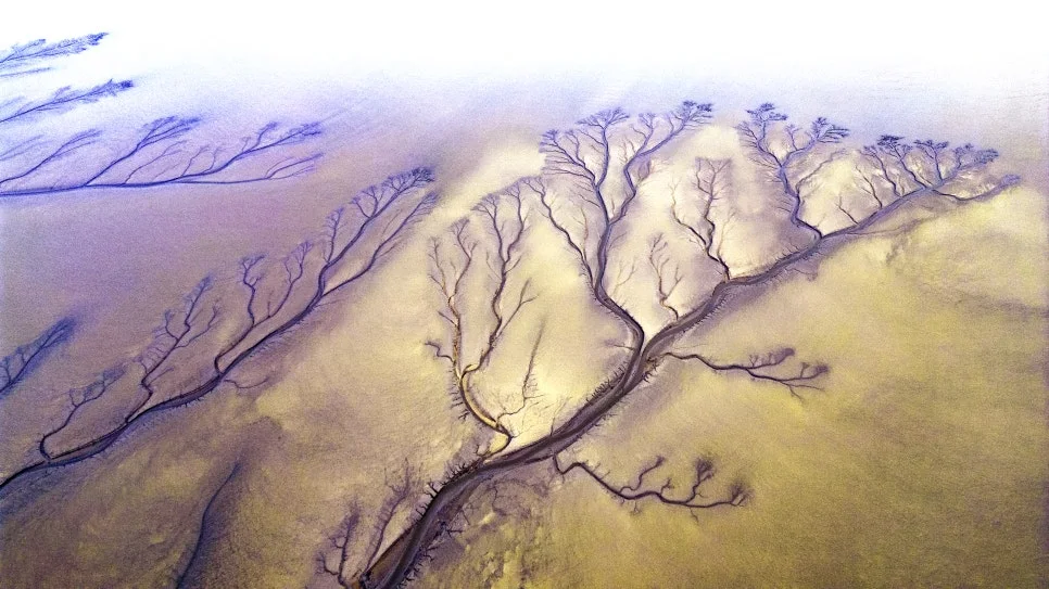 DJI_0278_copy.jpg?type=w966