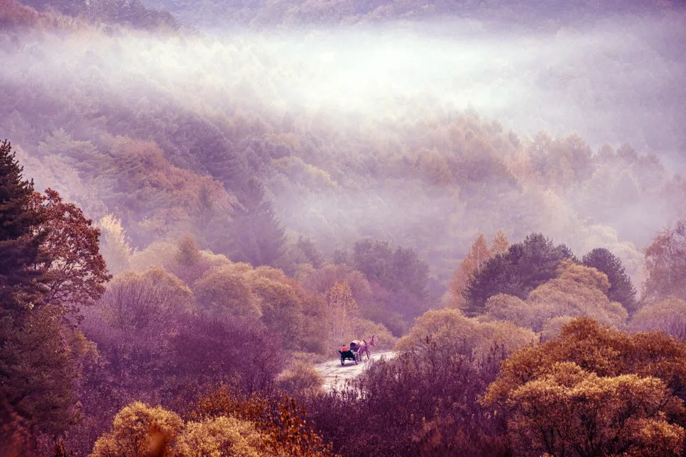 0U4A2954_copy.jpg?type=w966