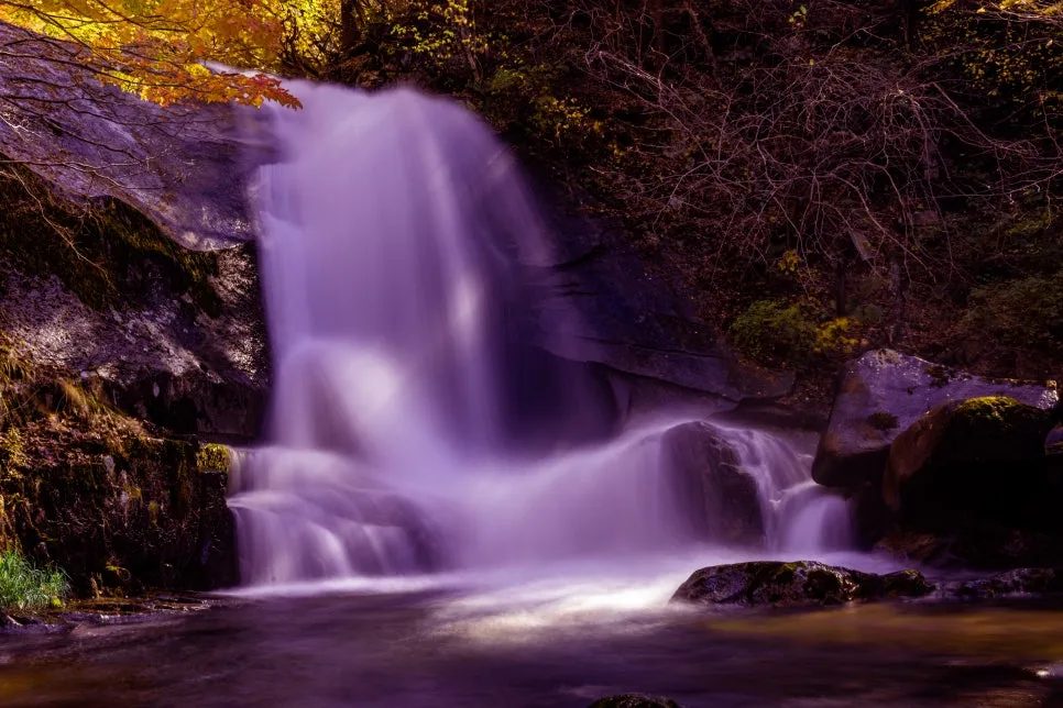 0U4A3818_copy.jpg?type=w966