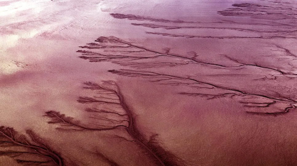 DJI_0215_copy.jpg?type=w966