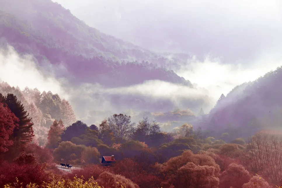 0U4A3390_copy.jpg?type=w966