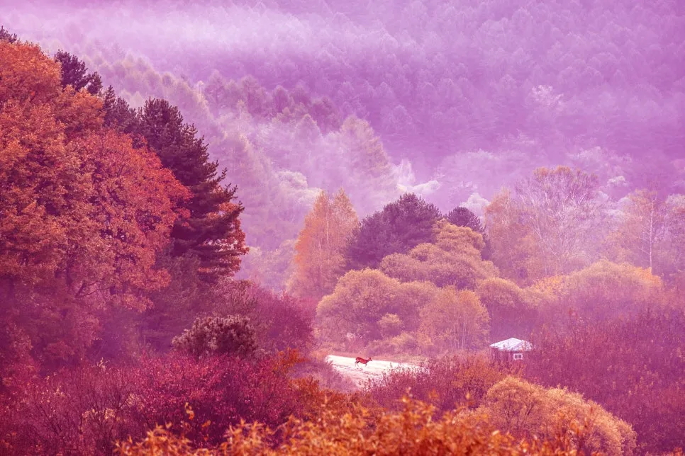 0U4A3001_copy.jpg?type=w966